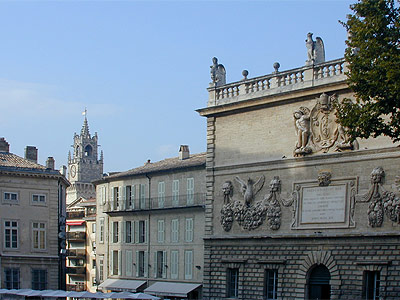 avignon dozens